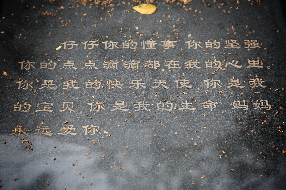生命的最后章：回顾与感悟