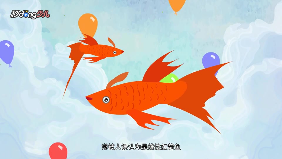 黑玛丽与红玛丽有什么区别?