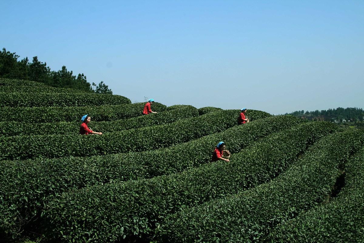 潍坊工商职业学院休闲农业经营与管理专业就业前景怎么样？