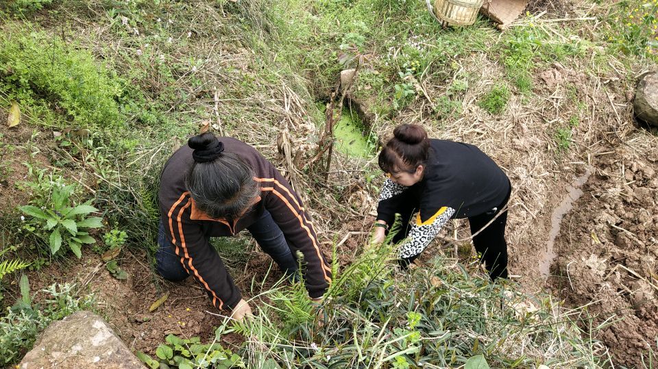 雯雪和两个妈妈一起去山上挖野菜,一路上欢声笑语,感觉好幸福