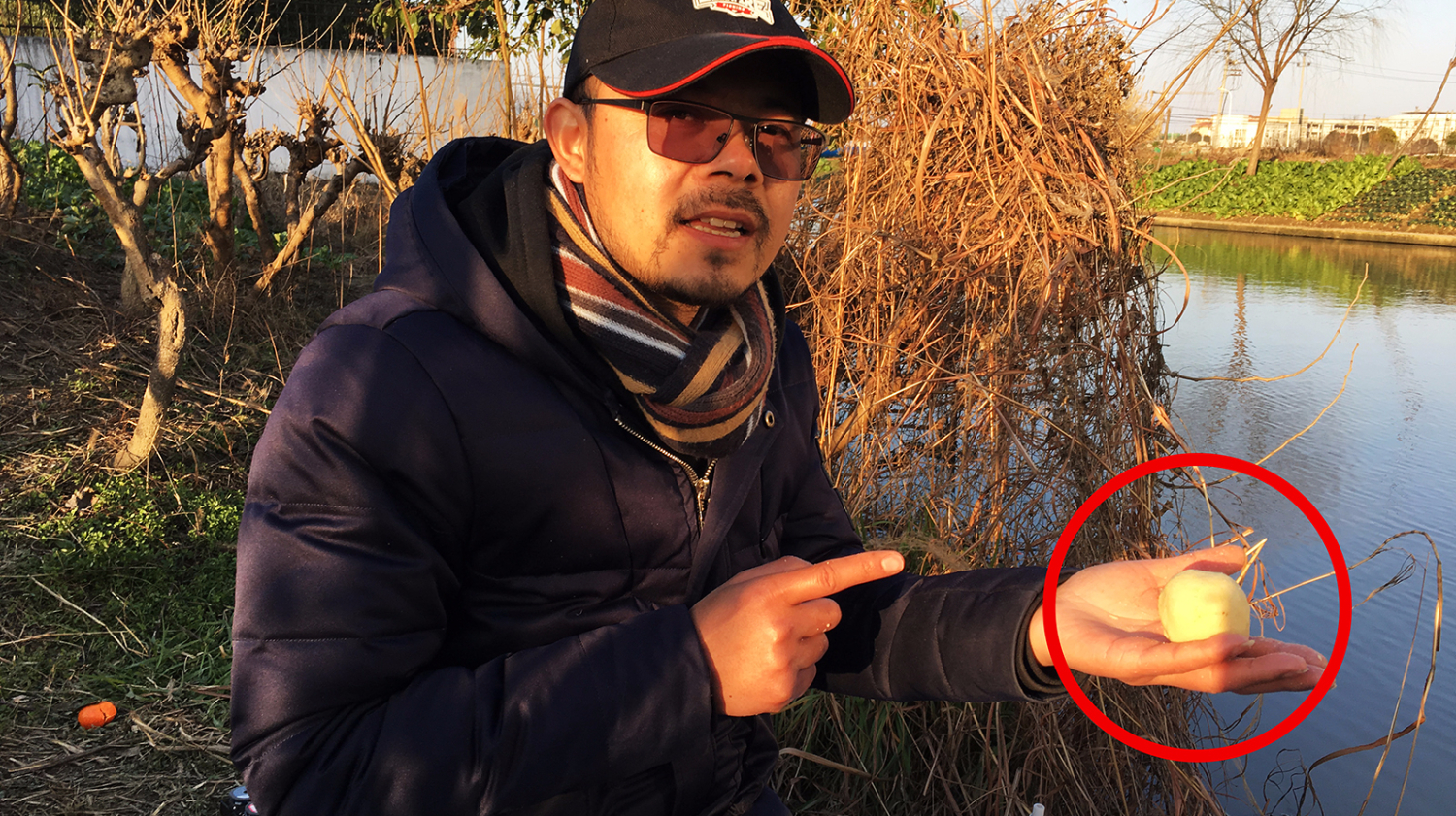 没有味道的鱼饵也能钓鱼,不看不知道啊!