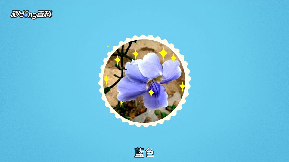 原来大花老鸭嘴长这样