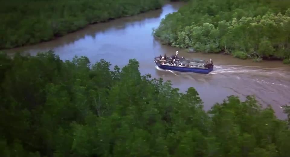 美国越战电影野狼呼叫21bat21(1988)片尾曲