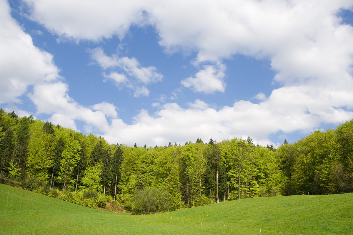 Agricultural and Forest Meteorology期刊推荐投稿原因