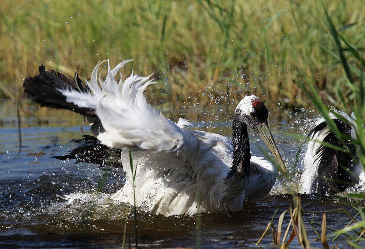达州全星职业技术学校高级护理专业前景怎么样？