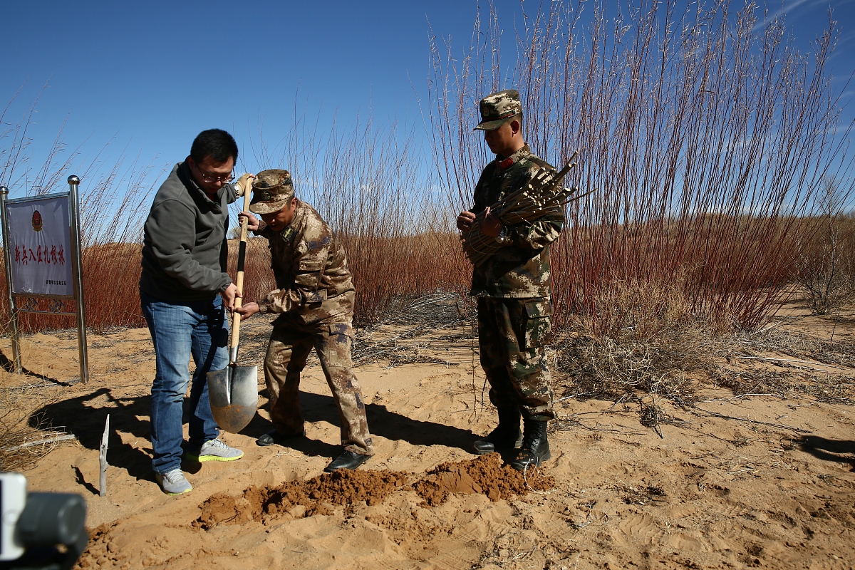 毕节媒体曝光求助指南：如何有效利用媒体力量解决问题