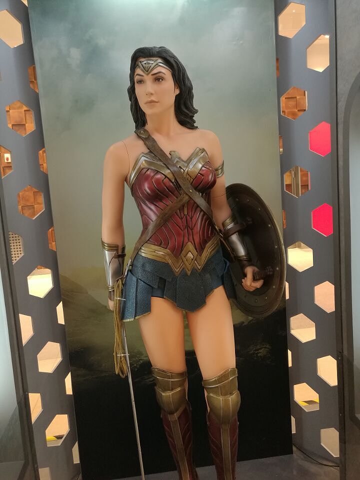 神奇女侠失踪！我被全面攻击！