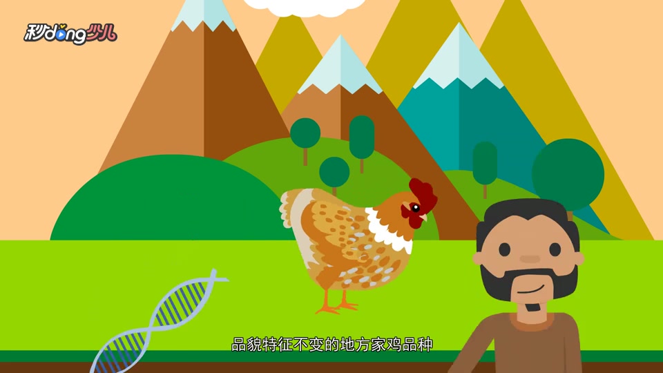 三黄鸡和土鸡的区别有哪些?