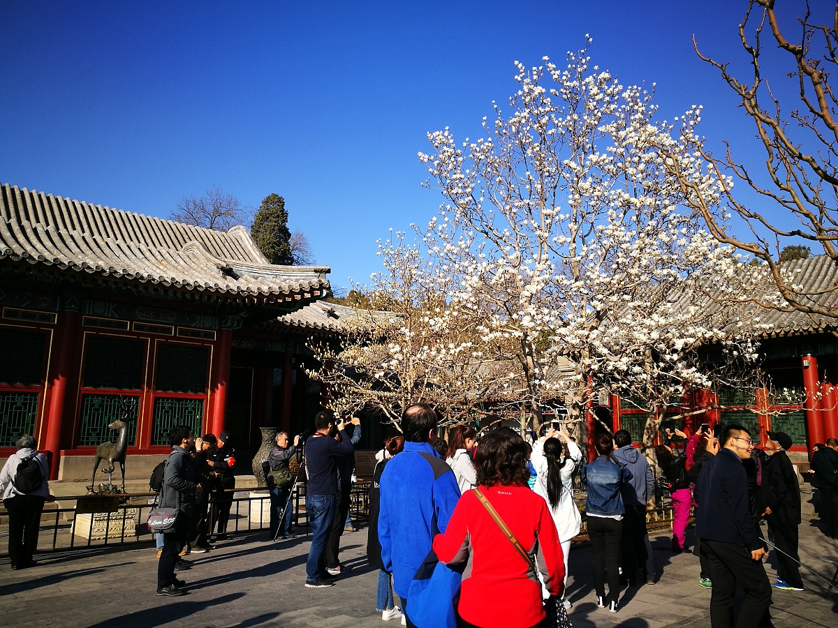 春日踏青正当时：2023春季旅游总结PPT模板及攻略