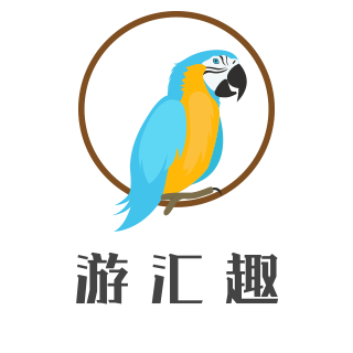 游汇趣