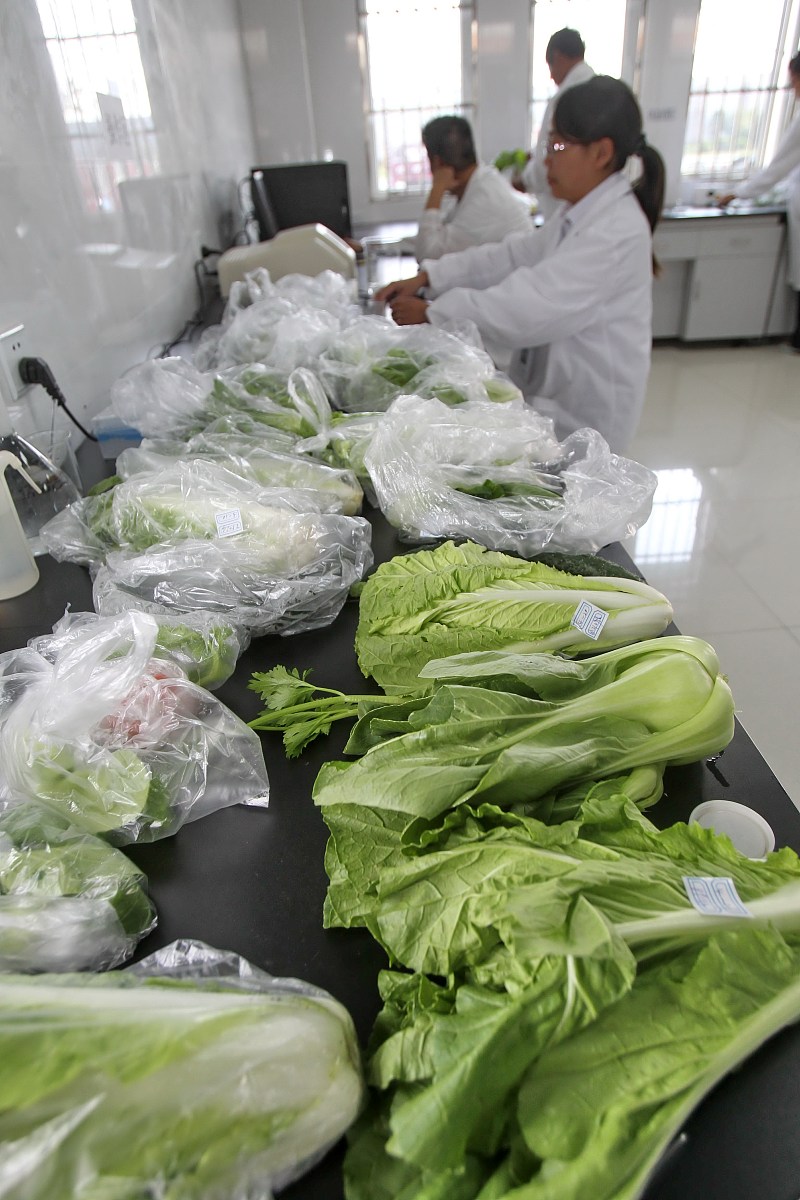 黄河流域主要污染物种类