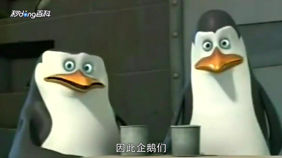 一分钟了解马达加斯加的企鹅第二季