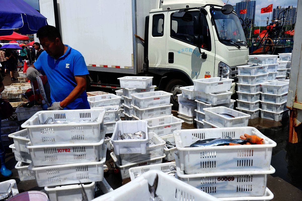 水产产品运输的缺点