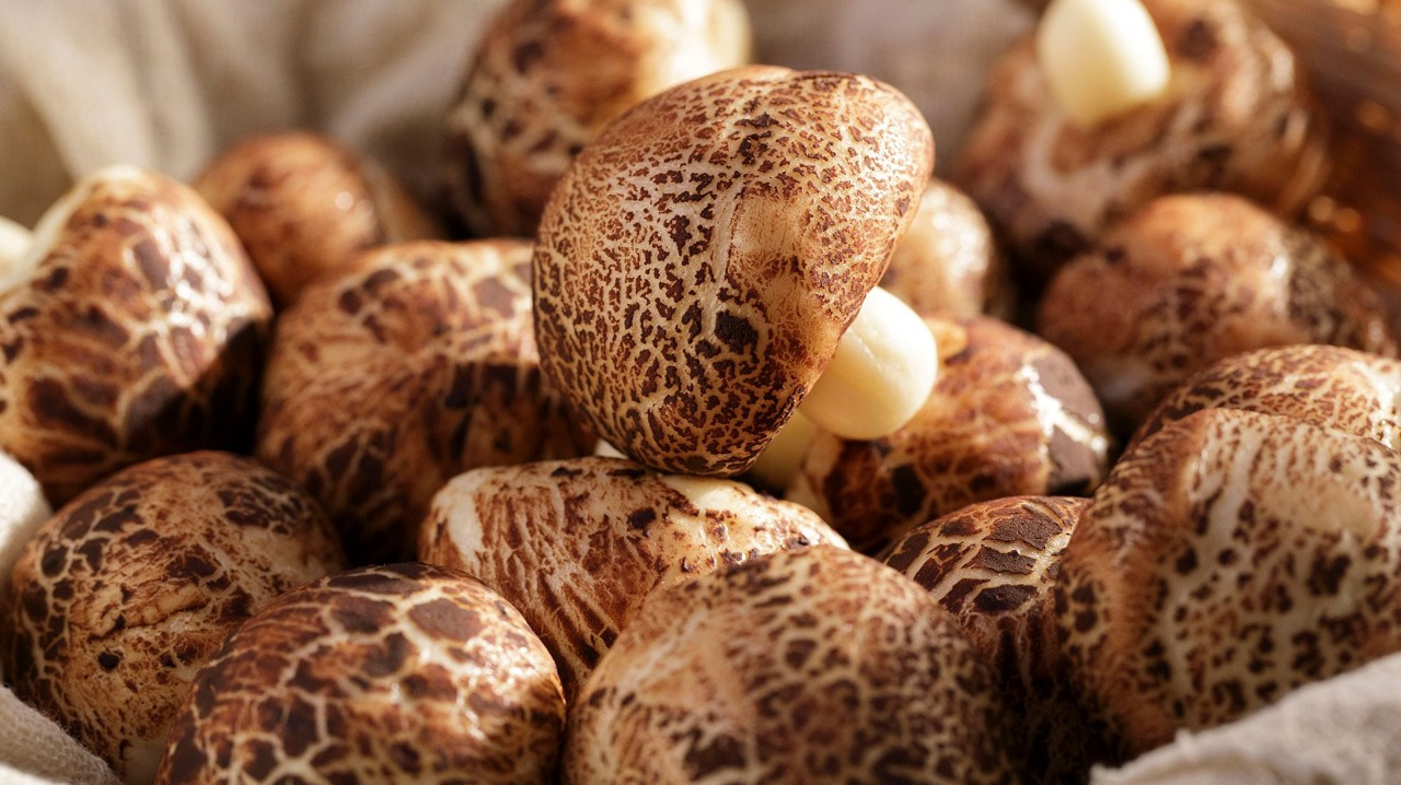 如何做以假乱真的香菇小馒头