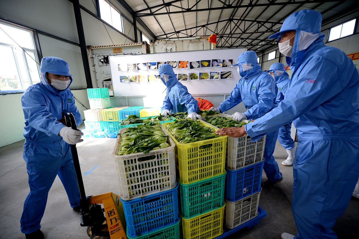 农产品保鲜与加工专业的培养目标