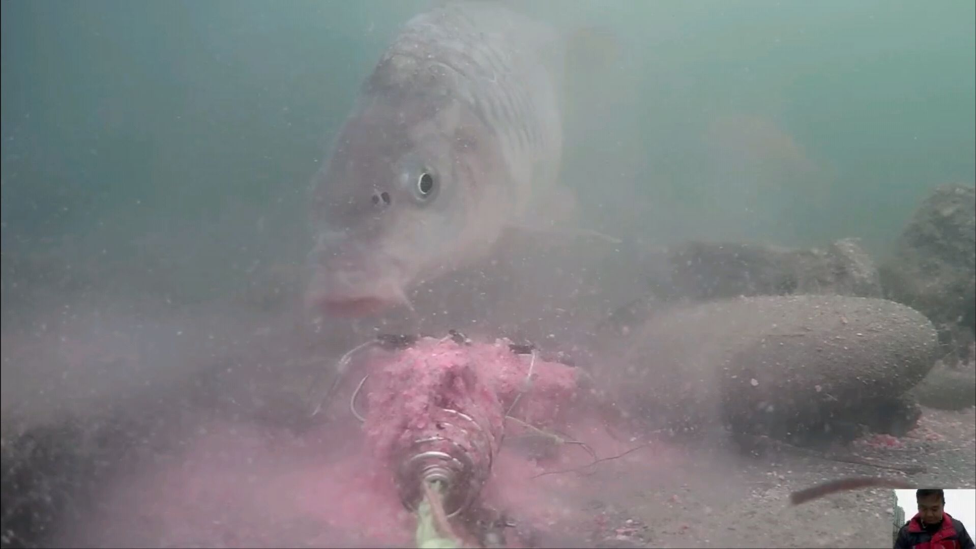 冬天钓鱼为何老空军,水下高清实拍解密