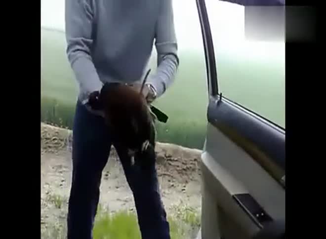 弹弓打野鸡4 视频