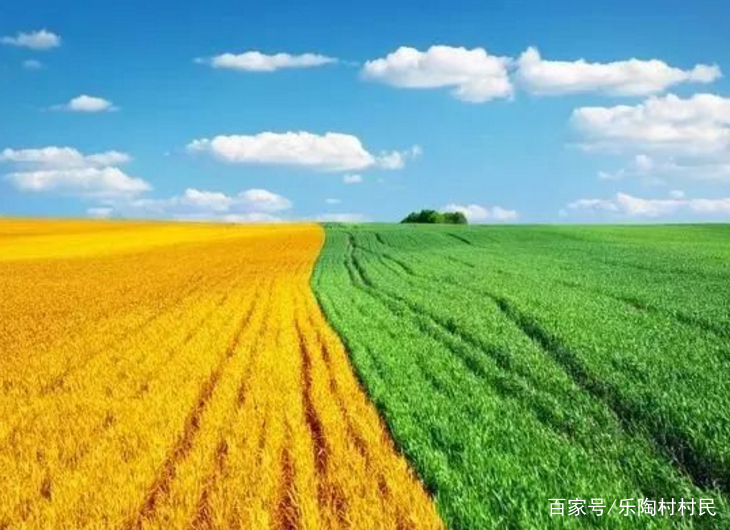 2019年起,国家对于三农补贴的新政策,大家了解