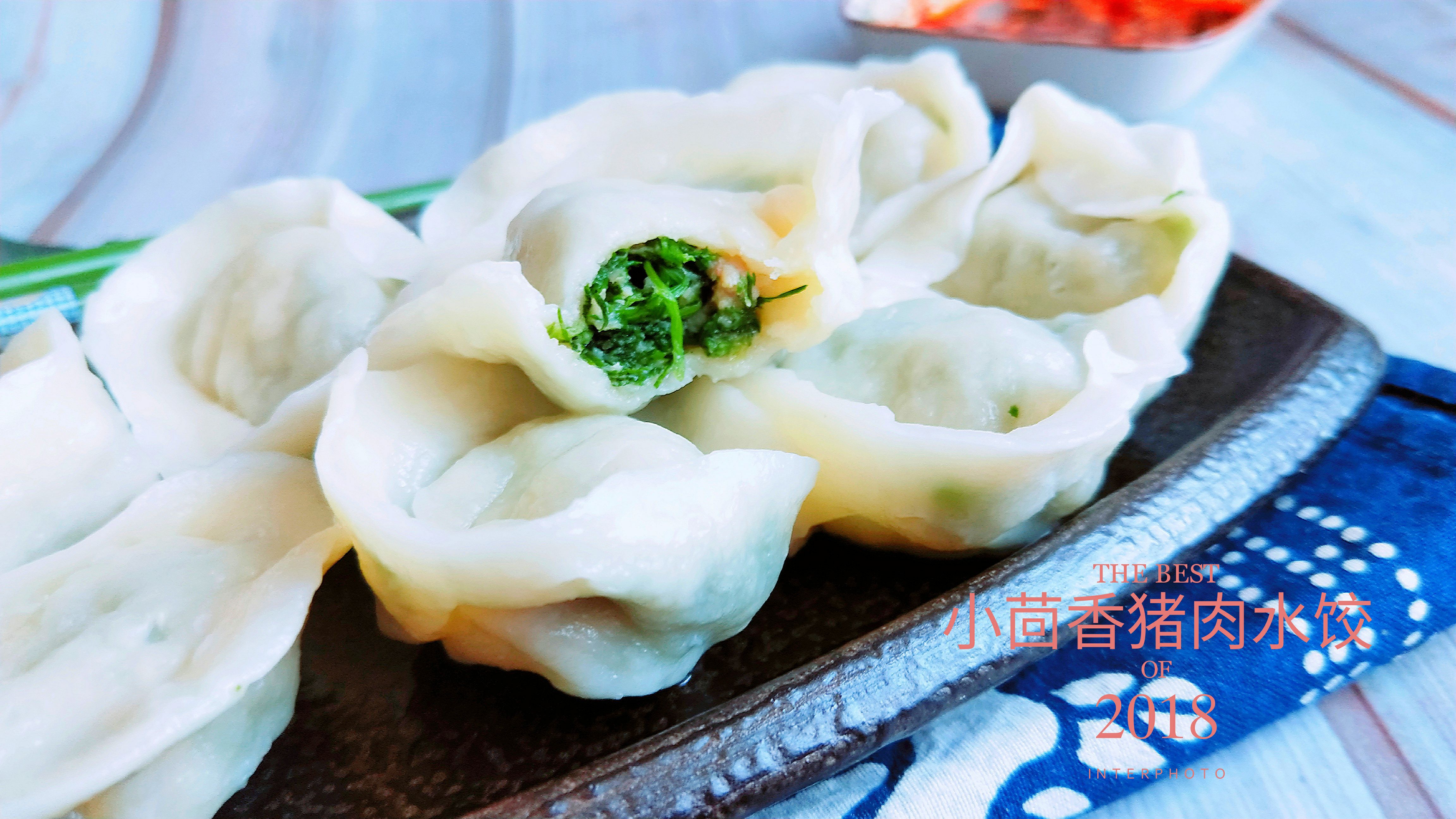 冬季用它包饺子,暖胃养胃又驱寒~小茴香猪肉水饺
