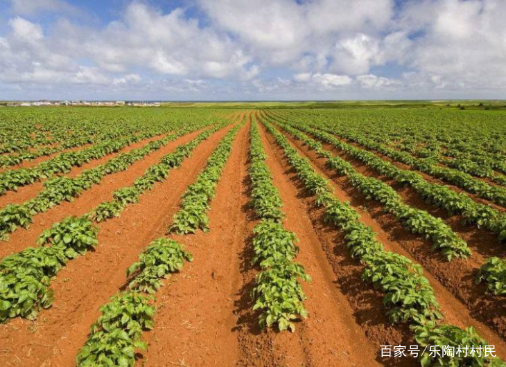 2019年起,国家对于三农补贴的新政策,大家了解