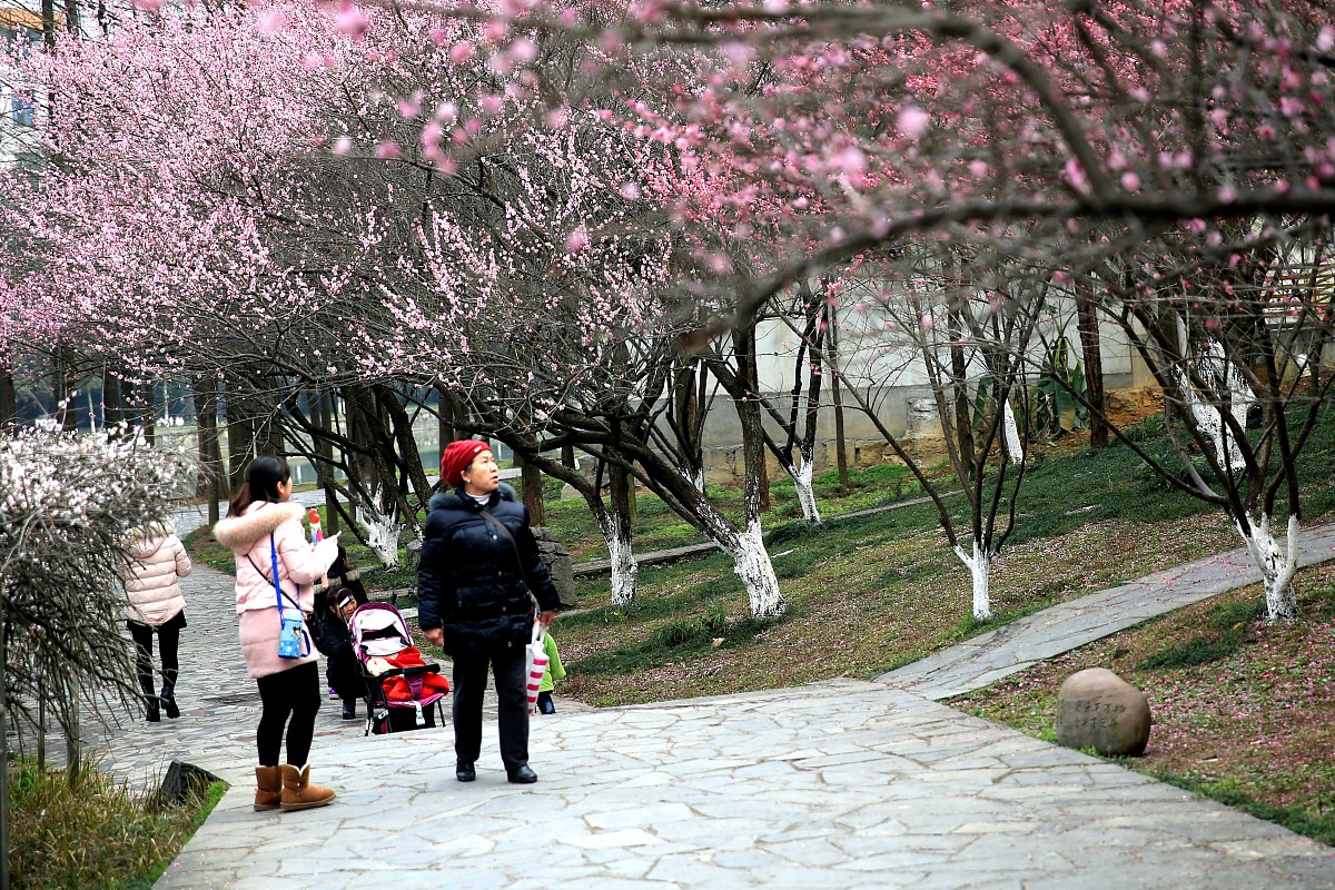 吉首大学师范学院中职部2023年招生简章_招生信息
