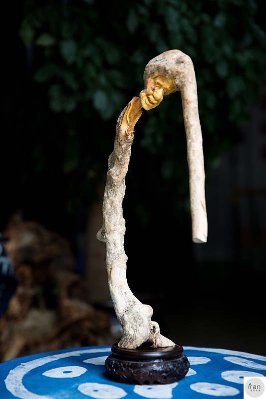 手心之树：一首关于成长与陪伴的诗