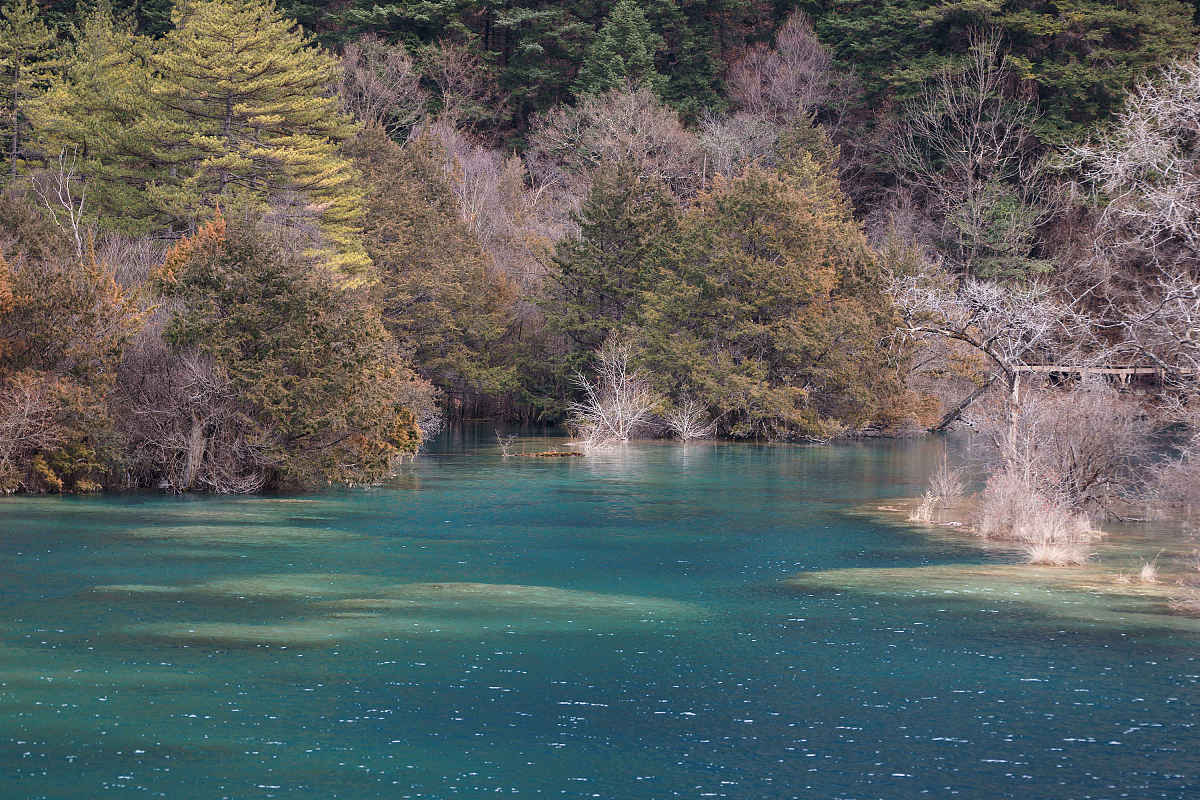 四川2022年好的中专学校都有什么