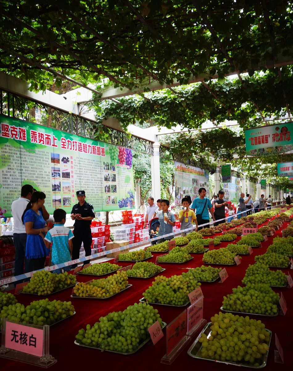 吐鲁番葡萄节风险预案可行性研究