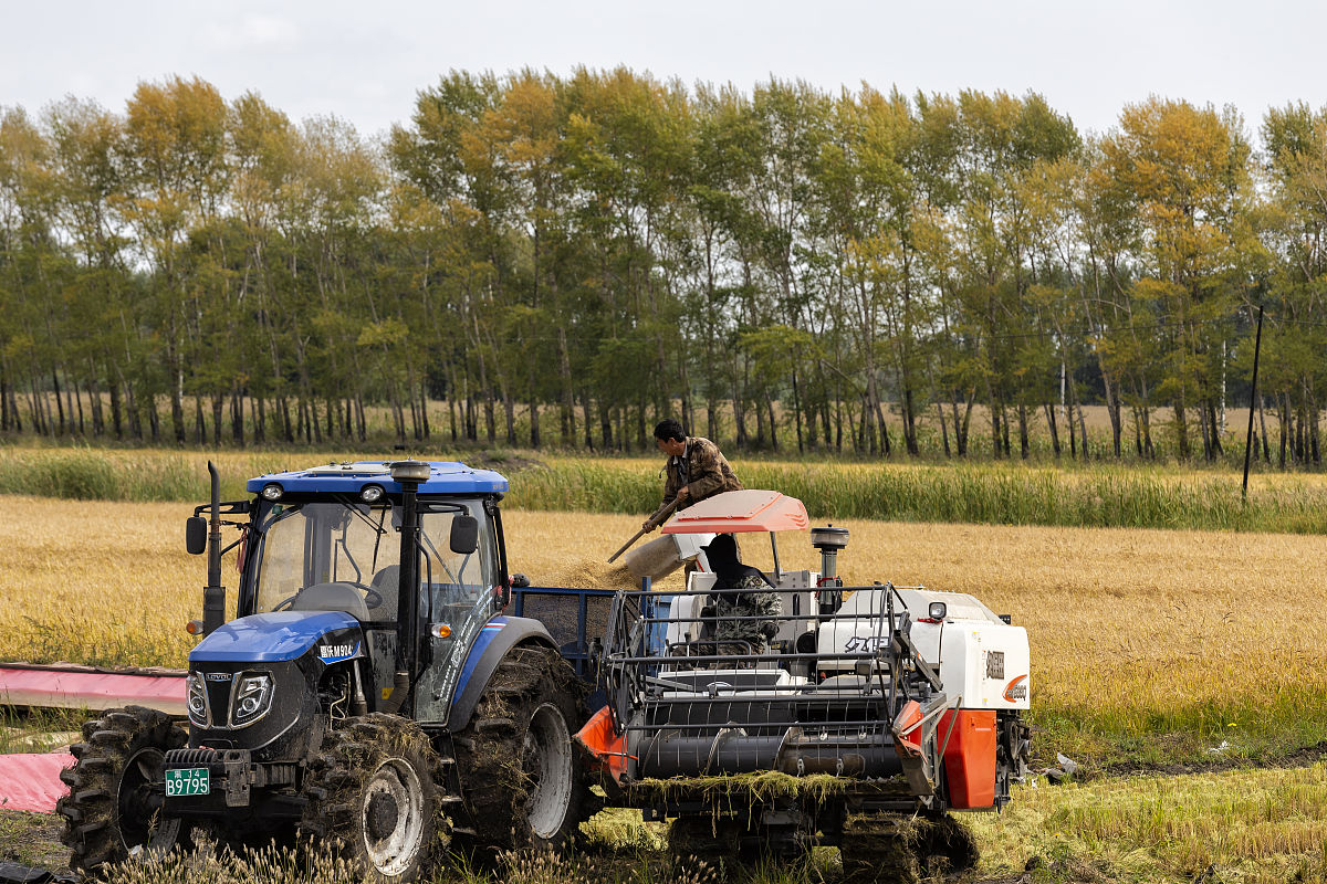 韭菜收割机相关技术背景描述与本发明技术最相近的现有技术并说明该现有技术存在的缺点