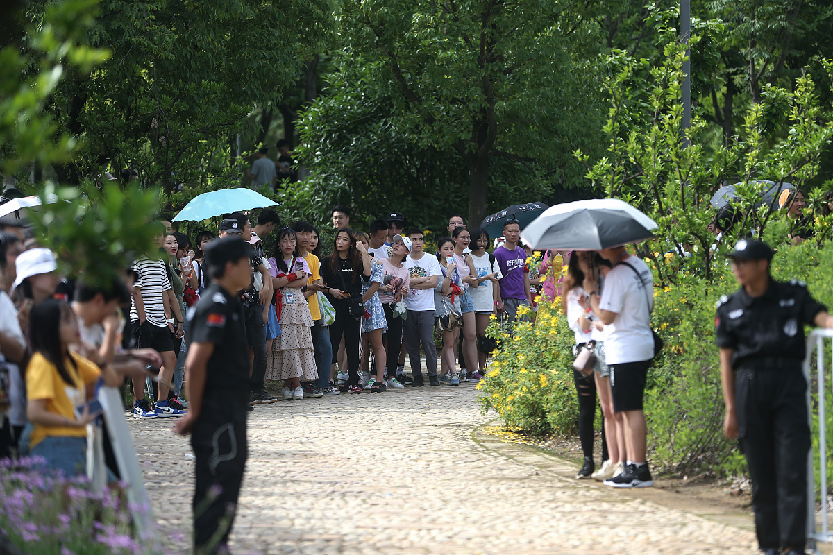 帮我写一首流行民谣歌曲主题与去看海有关风格类似于房东的猫情感偏伤感并且附带弹唱用的和弦C调歌词要押韵