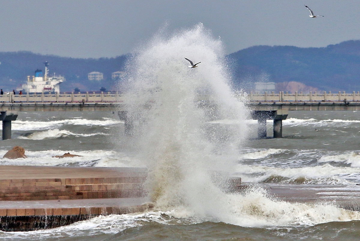 2015年04月06日,山东烟台受较强冷空气影响出现大风降温天气.***_***