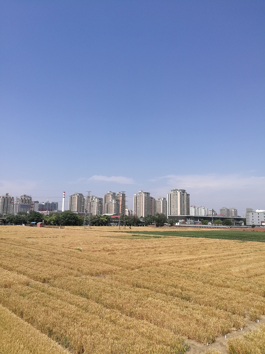 贵州2023年男生上中专学校学什么专业好