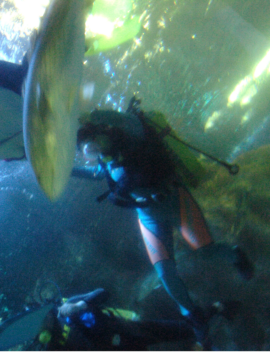 大连海洋学校2022年报考条件