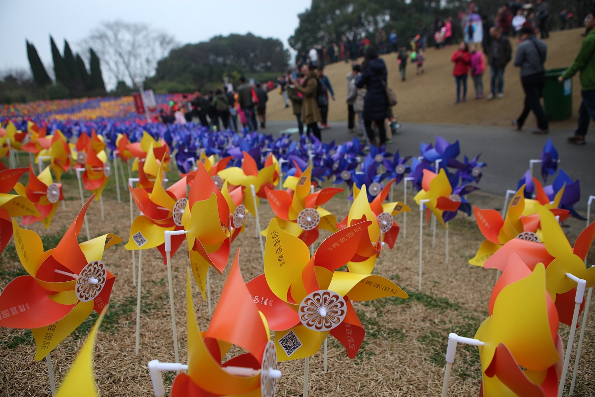 2015年3月15日,上海,为了配合郁金香花展,主办方在公园里一个小山坡上