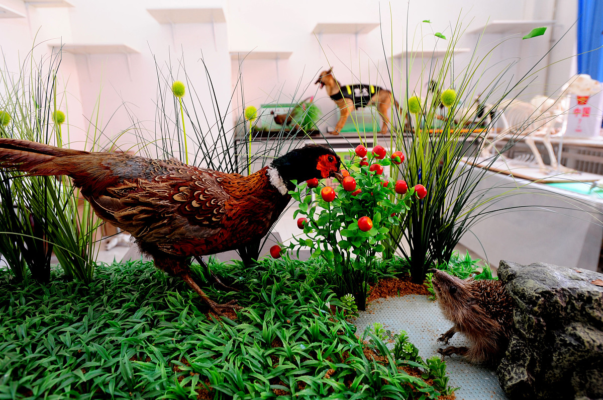 遵义卫校优势：师资、设施、管理、就业 - 培养优秀医学人才