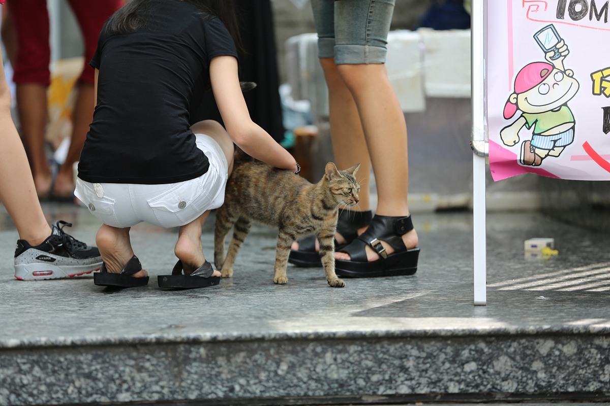 延安职业技术学院的动物防疫与检疫专业招多少人