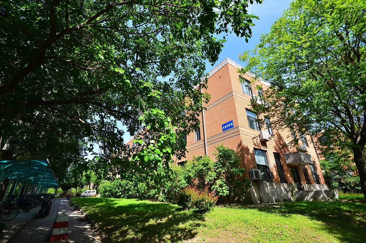 清华大学"水木清华"秋季景色