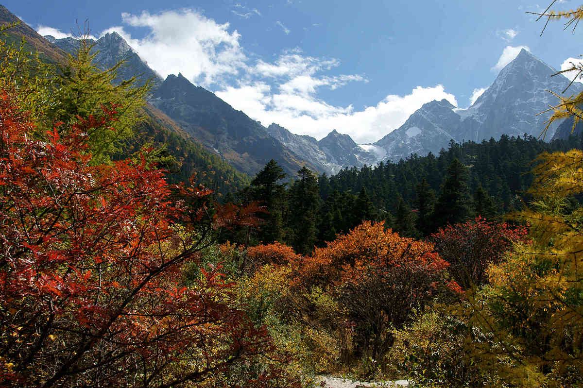 2011年10月11日,四川阿坝州理县,毕棚沟秋色.***_***拍摄时间:2011/10