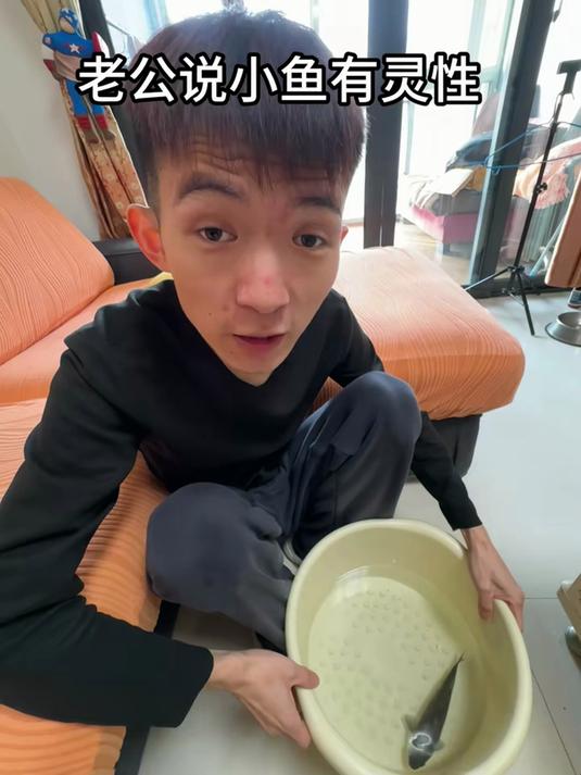 这回真是小鱼小鱼快快游了 抽象 精神状态belike