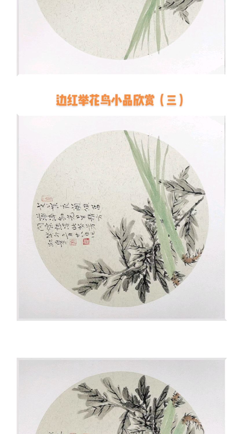 国画花鸟小品欣赏三(边红举篇)