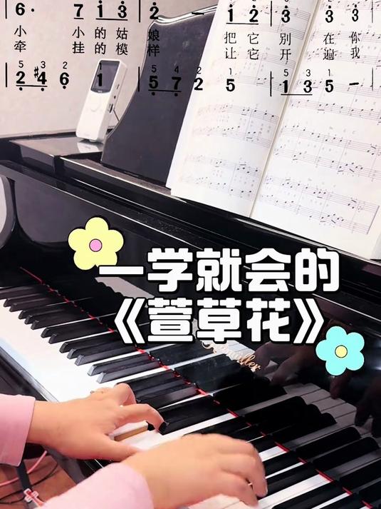 萱草花 一学就会 好听 好弹,五线谱简谱都配备!