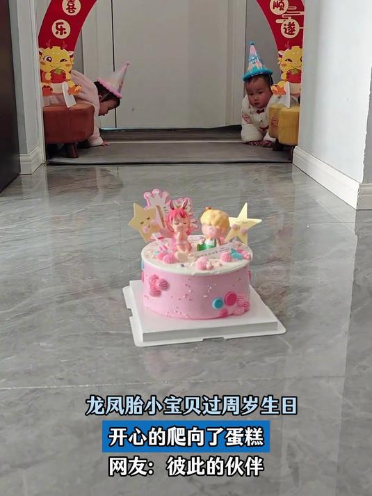 龙凤胎小宝贝过周岁生日，开心的爬向了蛋糕，网友：彼此的伙伴