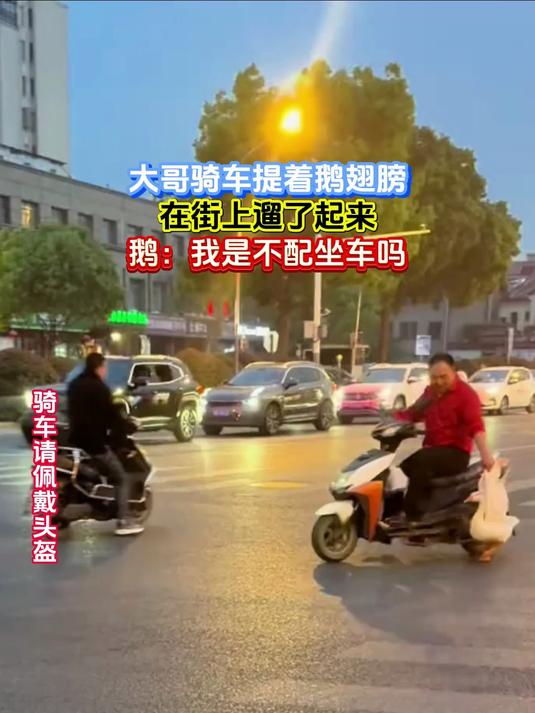 大哥骑车提着鹅翅膀,在街上遛了起来,鹅:我是不配坐车吗