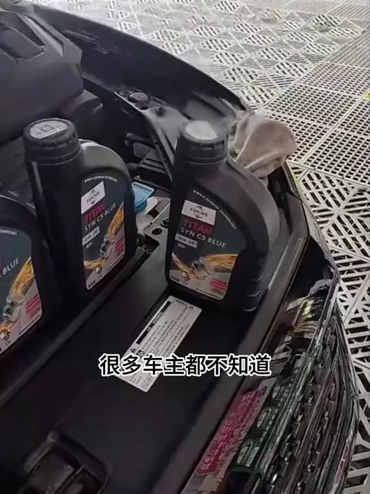 哪款蓝油性价比最高?