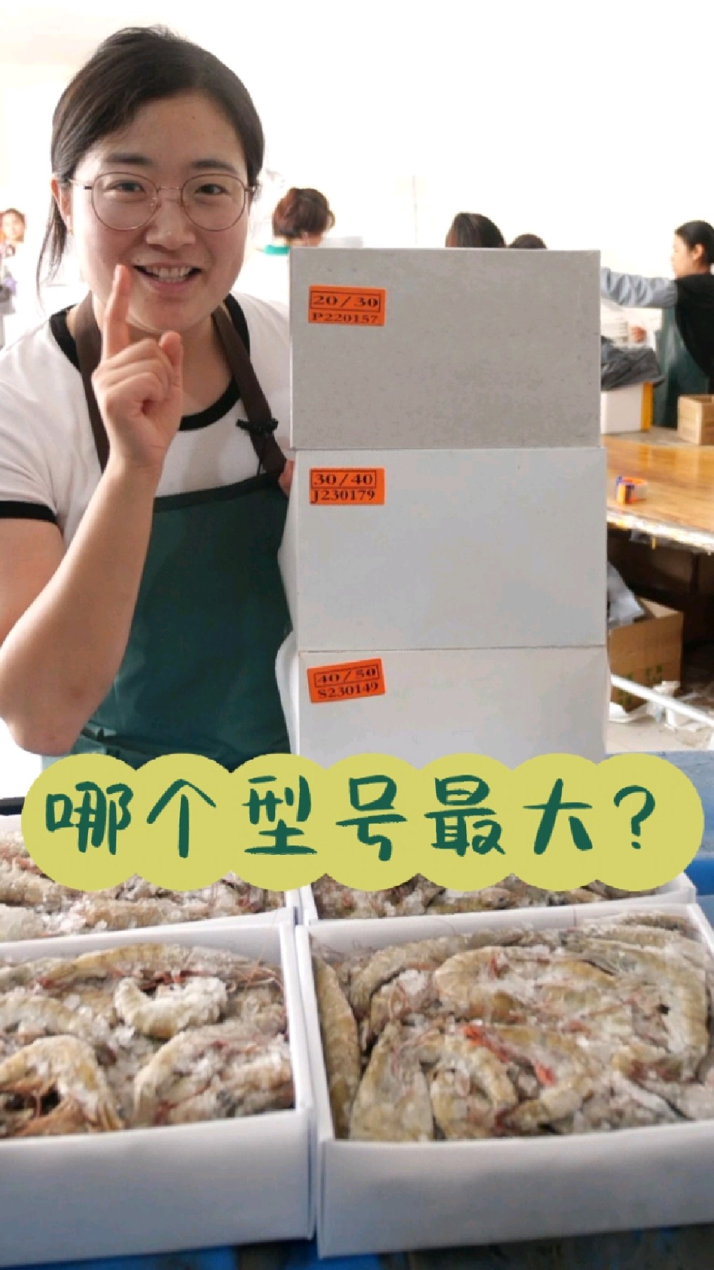 今天考大家一个问题,哪个型号的虾最大呢?