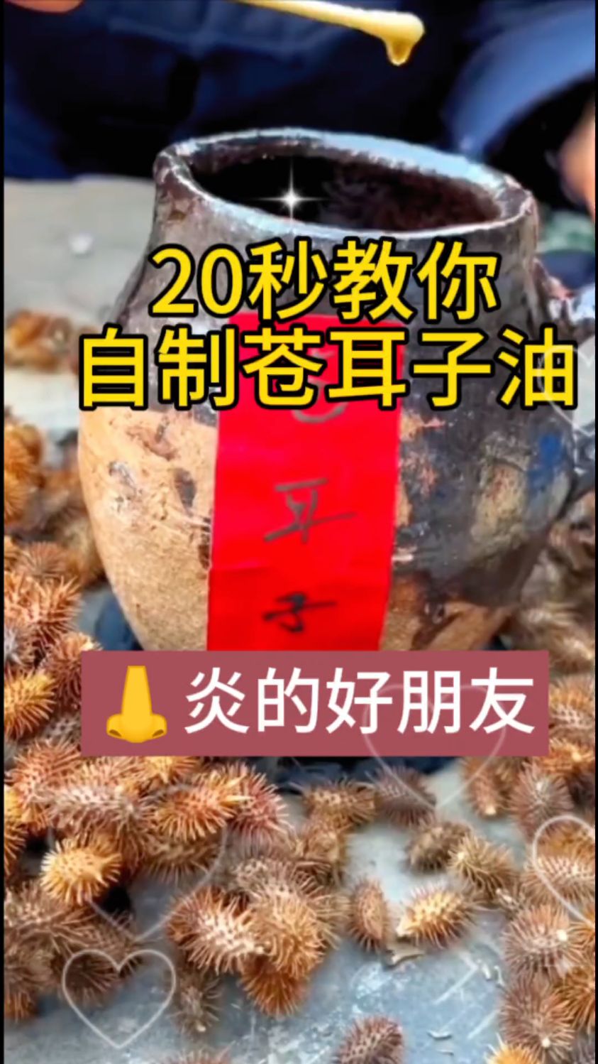 苍耳子油,你听说过吗?