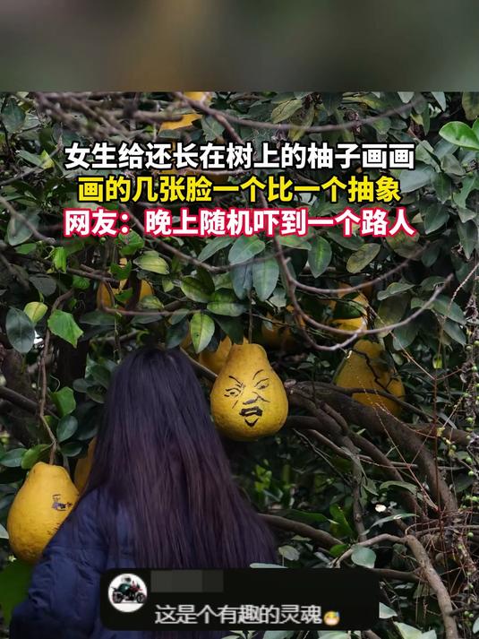 女生给还长在树上的柚子画画,画的几张脸一个比一个抽象,网友:晚上随机吓到一个路人。#乘风计