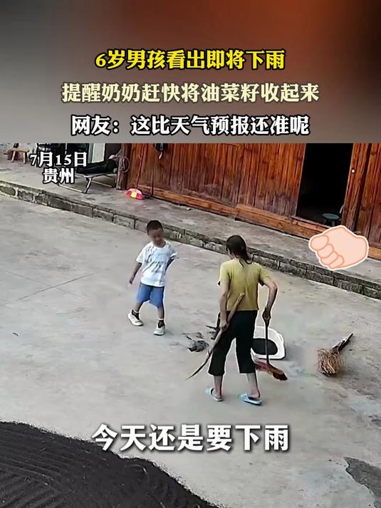 6岁男孩看出即将下雨，提醒奶奶赶快将油菜籽收起来