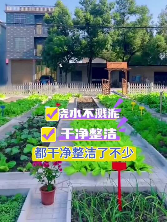 夏天傍晚来小菜园逛逛,改造后就是一处风景