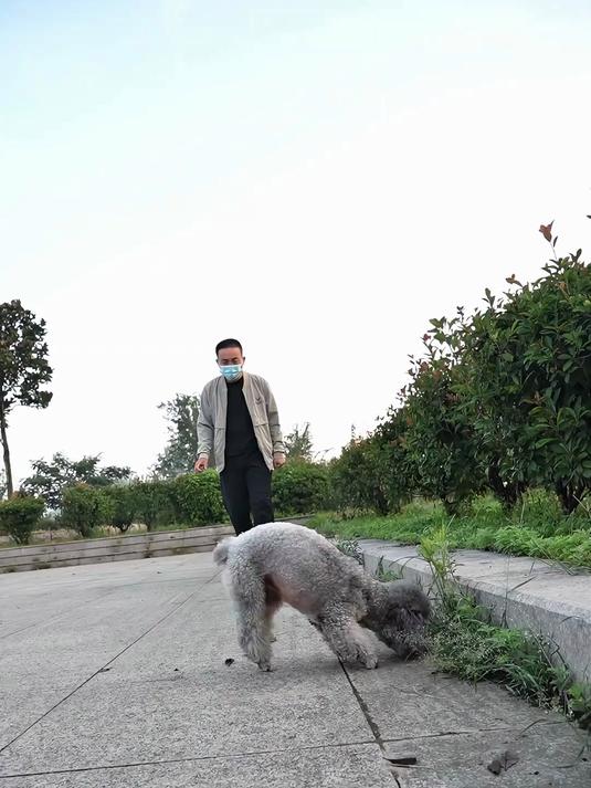 狗贩子在公园抓到一只小狗准备回家炖狗肉火锅吃